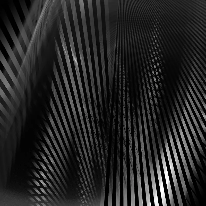 ������Ʊ���-������