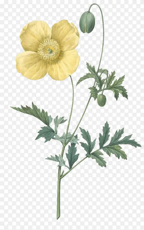 �ֻ�ˮ�ʻ���-������