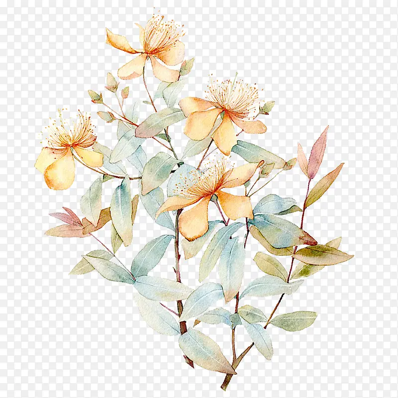 �ֻ�ˮ�ʻ�����ľ-������