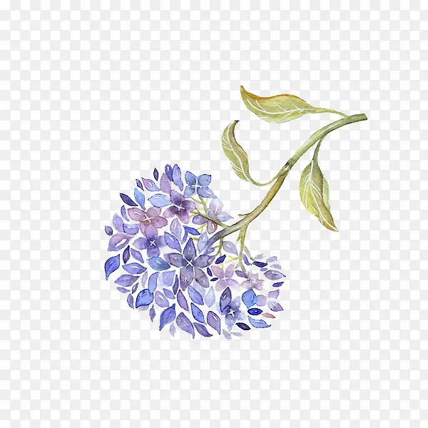 ����ˮ���ֻ滨��-������