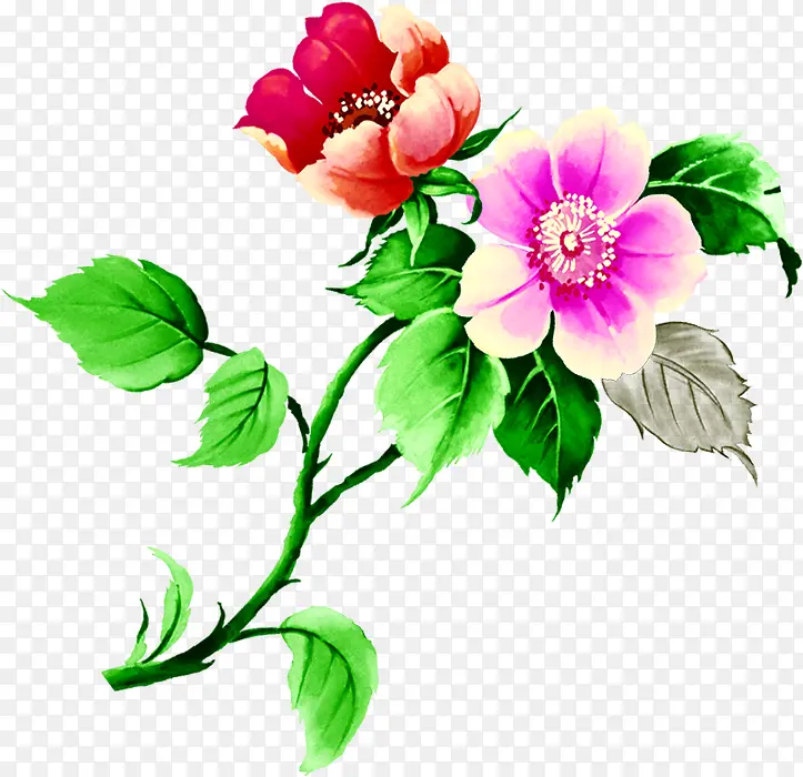 ��ɫ�ֻ�ˮ�ʻ���-������