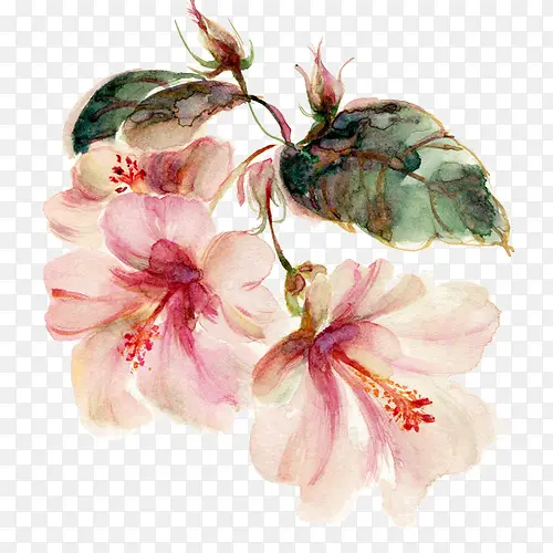 ˮ�ʻ�-������