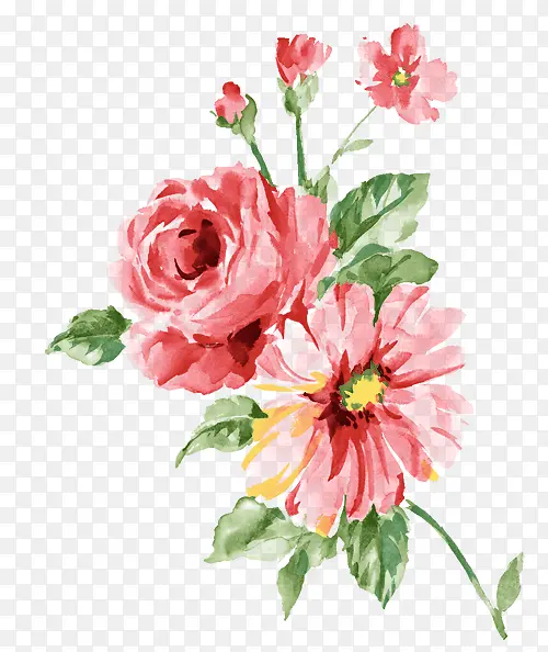 ˮ�ʻ�-������