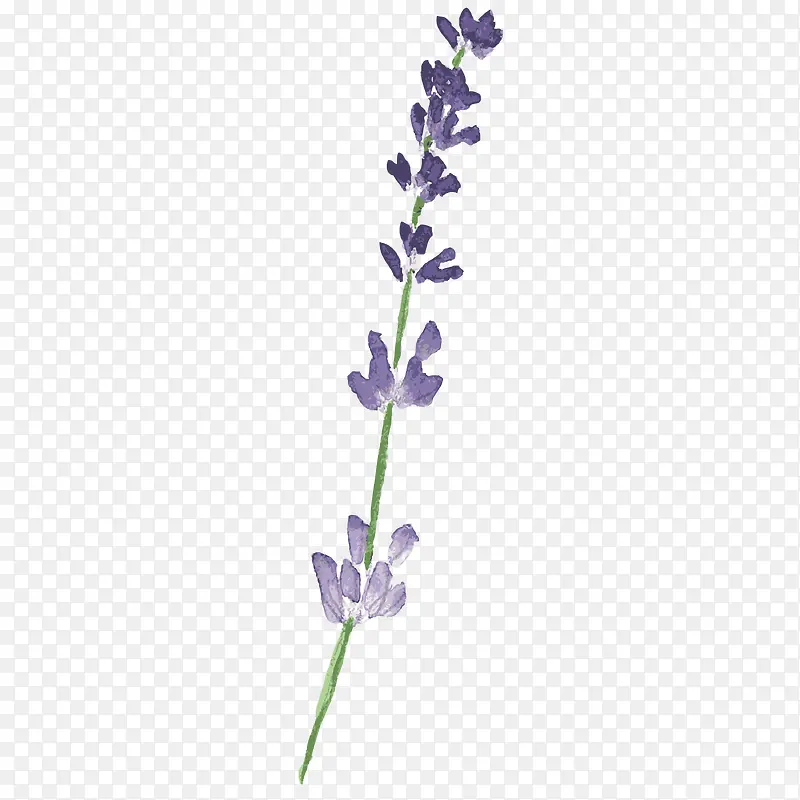 ޹�²�-������