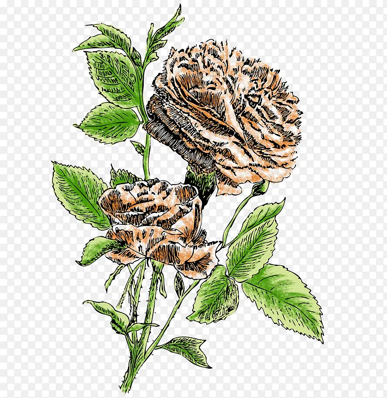 �ֻ�ֲ�ˮ�ʻ���-������