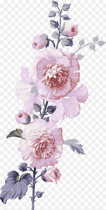 �ֻ�ˮ�ʻ���ֲ��-������