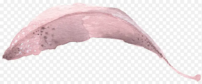 �ֻ��ɫ��Ҷˮ��-������