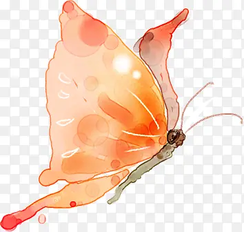 �ֻ�ˮ�ʷ�ɫ����-������