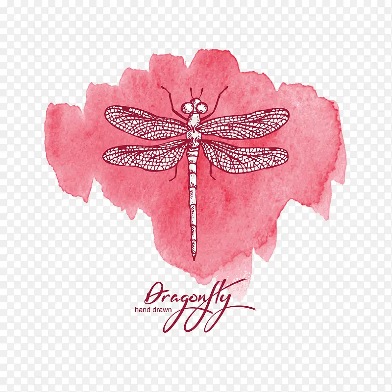 ��ɫˮ�ʱ���ʸ��-������