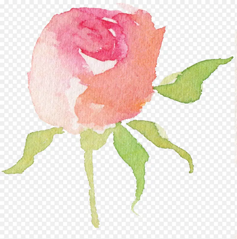 ˮ�ʻ���ɫ-������