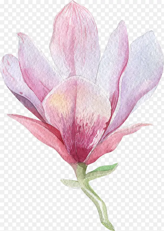 ˮ������-������