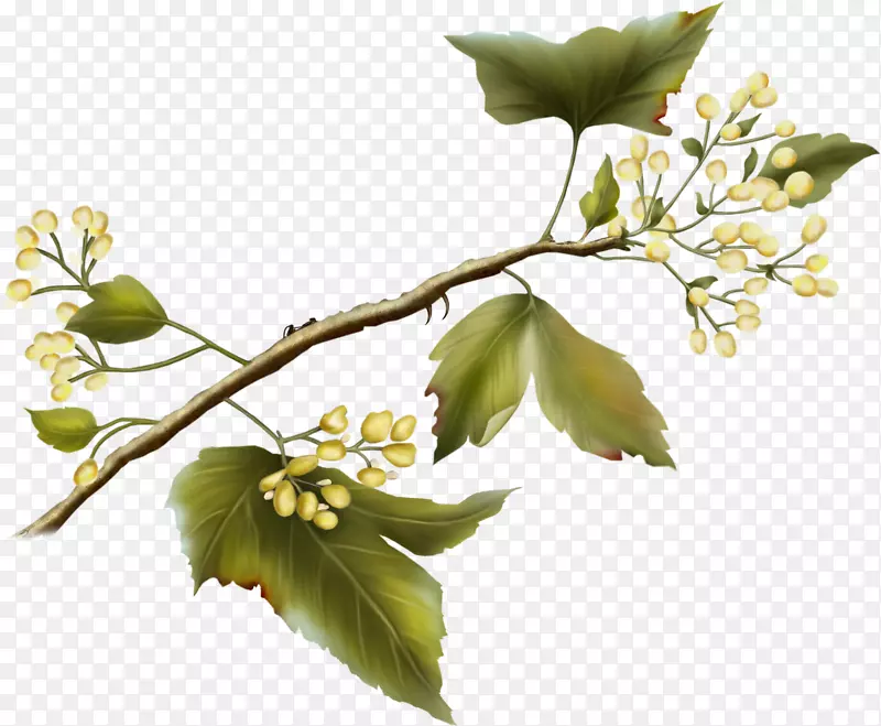 С�������ֽ����������-������