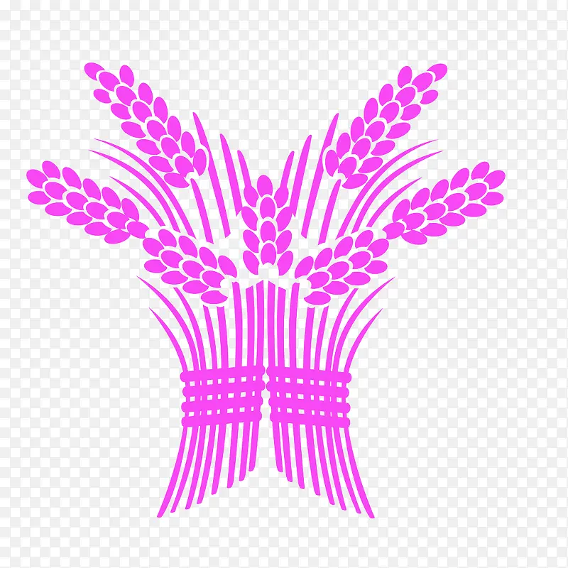 �ֻ浾��-������