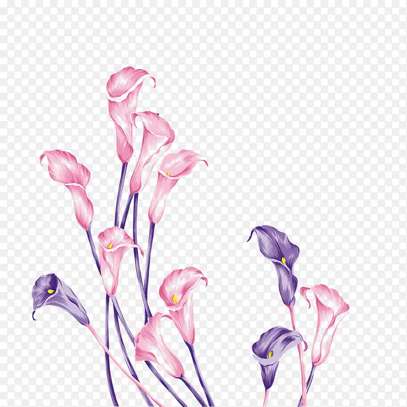 ���Ȼ���-������