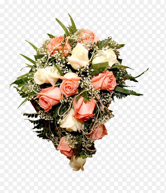 �ʻ��ز�ֲ�ﻨ���ز�-������