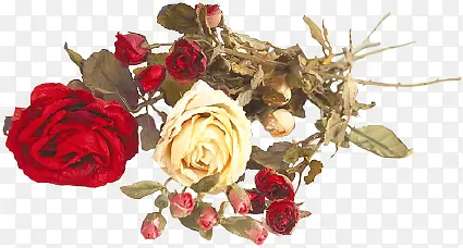 �����زĳ��󻨶��ز�-������