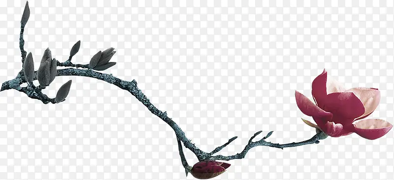 ��֦�����ز�-������