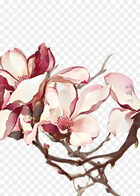 ˮ�ʻ�-������