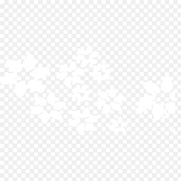 ��ɫʸ�������ز�-������