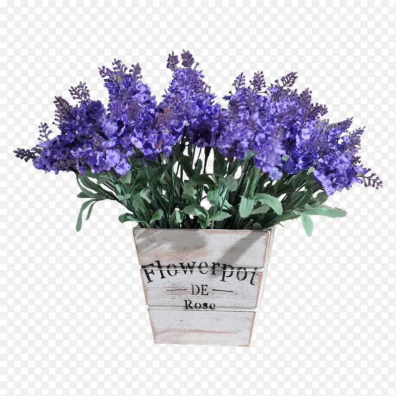 ޹�²ݻ���-������