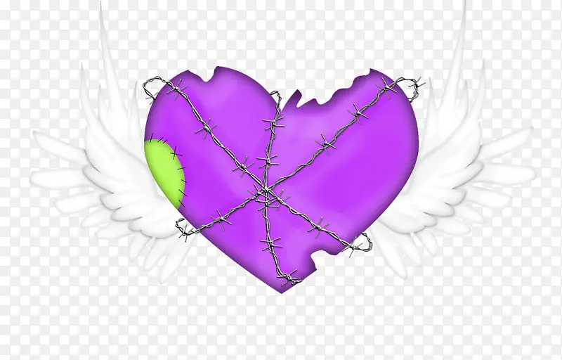 ���ĳ��-������