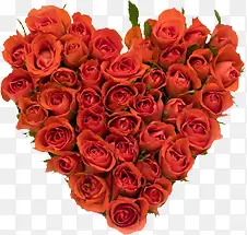 ���ĺ�ɫ����õ��-������