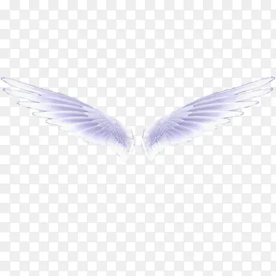 ��ɫ���-������