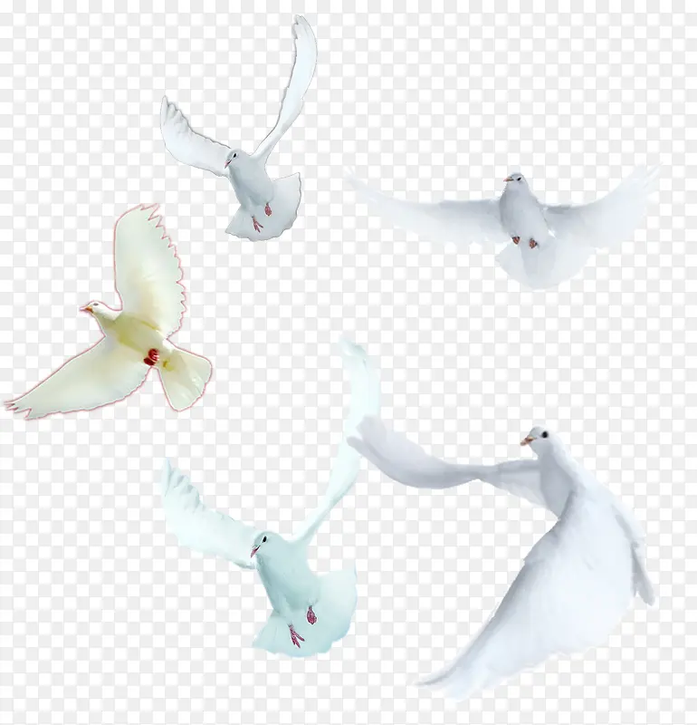 ��-������