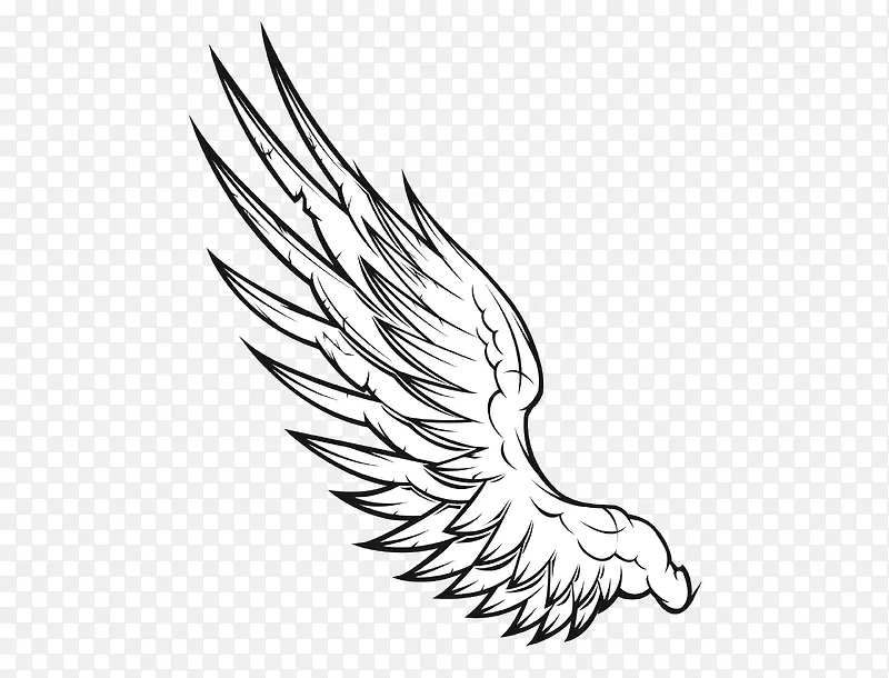 ��ɫ���-������