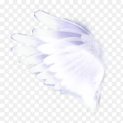 ��ɫ���-������