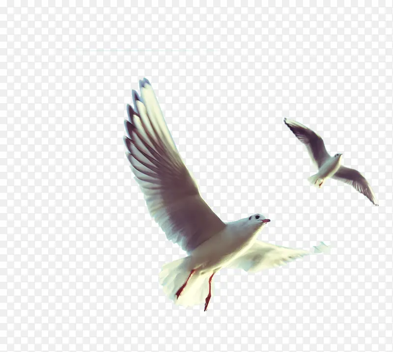 �������-������