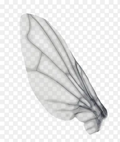 ���-������