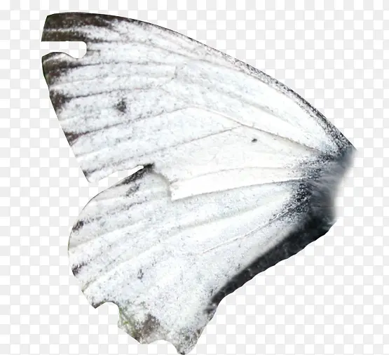 �������-������