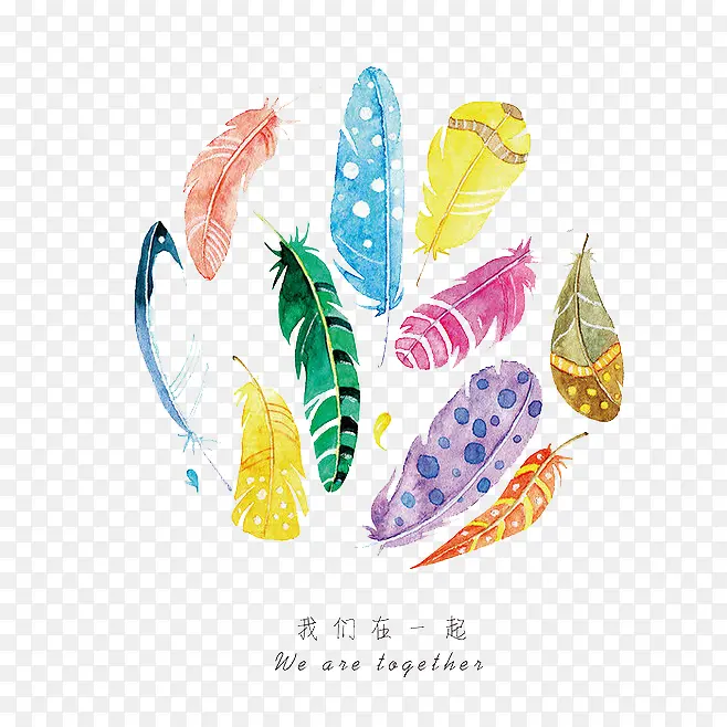 ˮ����ë-������