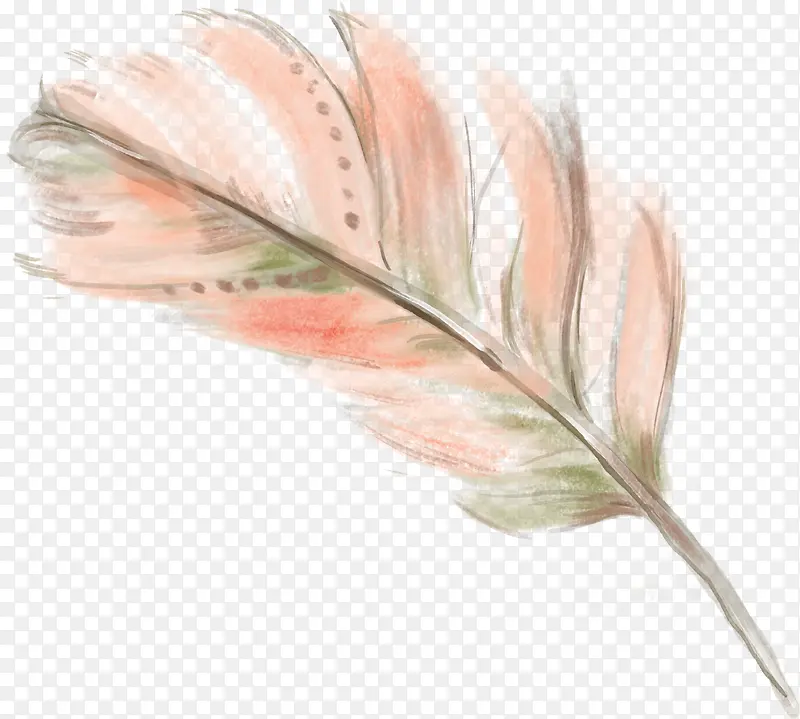 �ֻ���ë-������