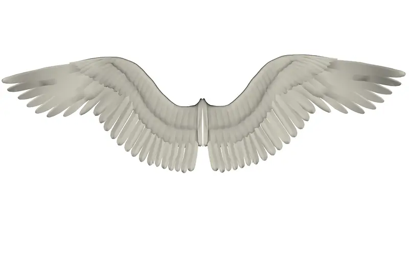 ��ɫ���ͼ��-������