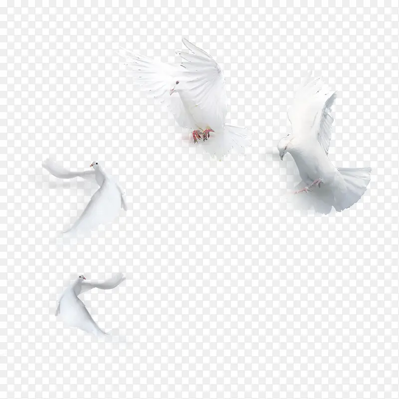 ��ɫ��ƽ��-������