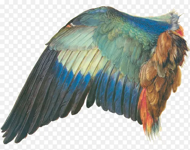 ������-������