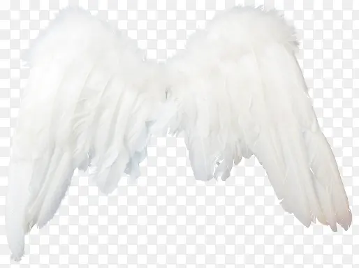 ��ɫ���-������