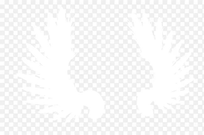 ��ɫ���-������