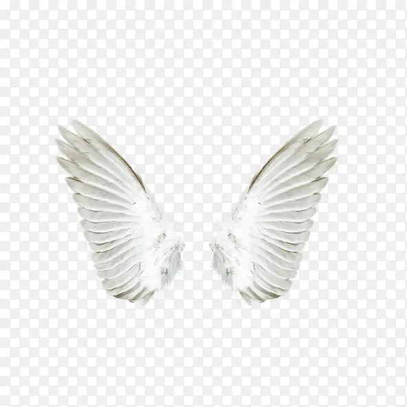 ��ɫ��ʹ���-������