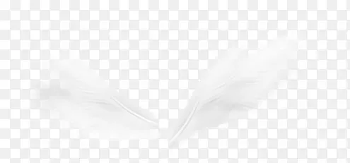 ��ɫ���-������