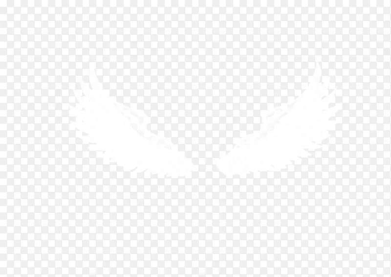 ��ʹ�ĳ��-������