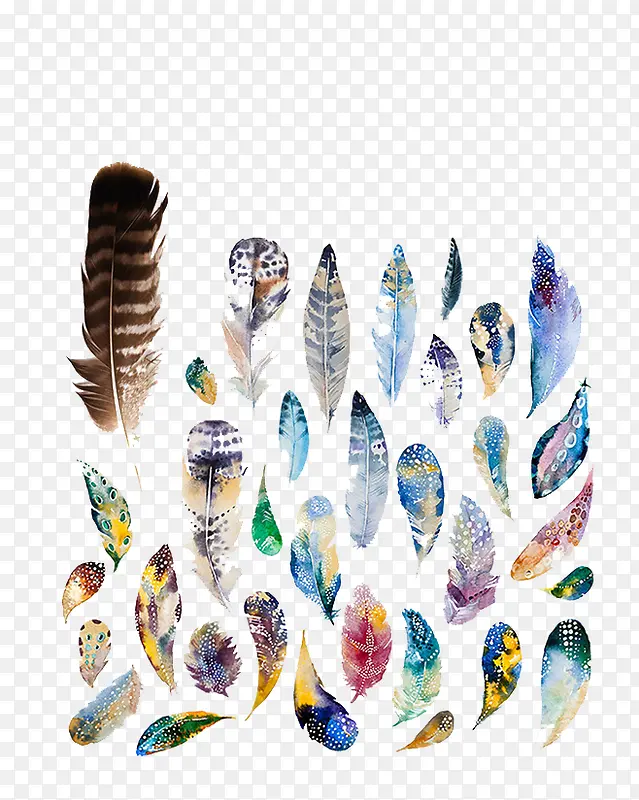 ˮ����ë-������