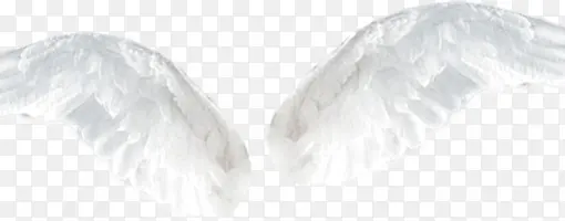 ���-������