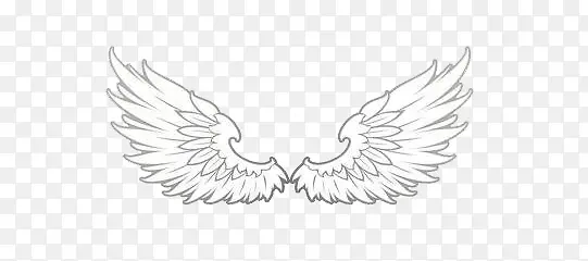 ��ɫ���-������