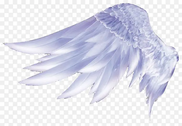 ���-������