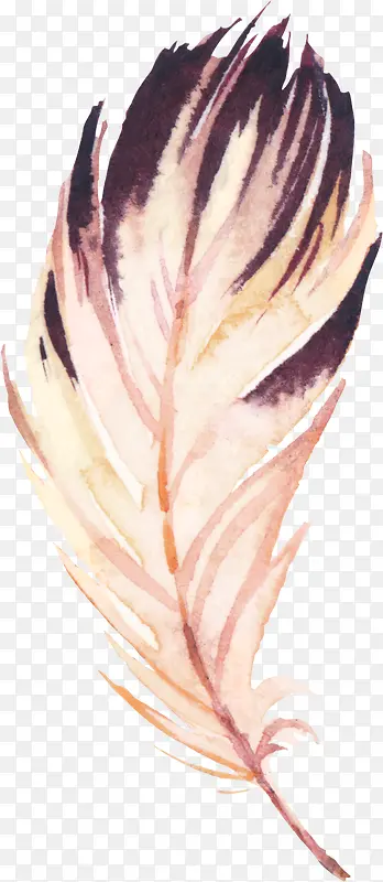 �ֻ���ë-������