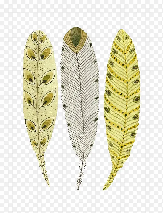 �ֻ濨ͨ��ë-������