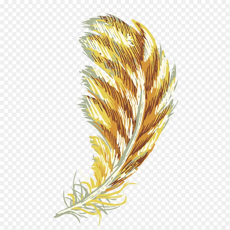 �ֻ���ë-������